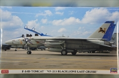 1/72　F-14D トムキャット 　　「VF-213 ブラックライオンズ ラストクルーズ」