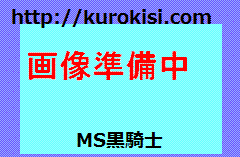 `r}SW@SW(2023) 70NLOo[W@No.1101