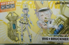 0/0�@�@PLAMATEA�@VALKYRIE TUNE �A�C���X���u���b�N�i�[