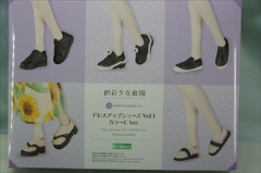 1/10�@�h���X�A�b�v�V���[�Y Vol.1 �J���[C Ver.�@�@�u�n�ʏ����뉀�v