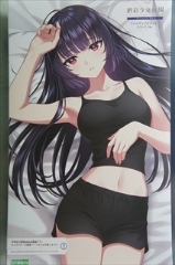 1/10�@�h���X�A�b�v�{�f�B�@�iL�j�J���[C Ver.�@�@�u�n�ʏ����뉀�v