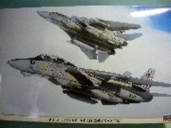 1/48　F-14A トムキャット　“VF-211　チェックメイツ”
