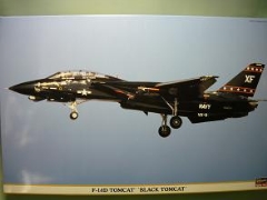 1/48　F-14D　トムキャット　“ブラック　トムキャット”