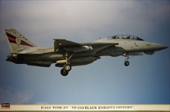 1/48　F-14A トムキャット　「VF-154 ブラックナイツ　ヒストリー」