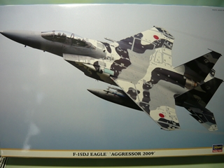 1/48@F-15DJ C[O gAObT[2009h