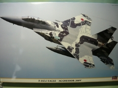 1/48　F-15DJ イーグル “アグレッサー2009”
