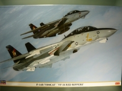 1/48　 F-14B トムキャット VF-11 レッド　リッパーズ
