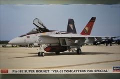 1/72　F/A-18E スーパー ホーネット　VFA-31 トムキャッターズ 75th スペシャル