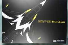 1/48 ROKAF T-50B　 [Black Eagles]　ブラックイーグルス