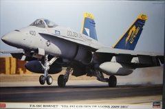 1/48　F/A-18C ホーネット　　VFA-192 ゴールデンドラゴンズ 2009/2011