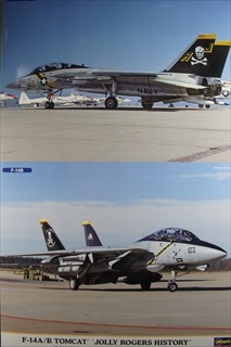 1/72 F-14A/B gLbg@uW[ W[X qXg[v (2@Zbg) 