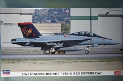 1/72　F/A-18F スーパー ホーネット　「VFA-11 レッド リッパーズ CAG」 