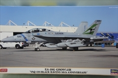 1/72　EA-18G グラウラー　「VAQ-135 ブラック レイブンズ 50周年記念」